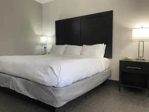 Comfort Inn & Suites Greer - Greenville - Chambre