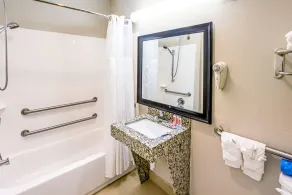 Econo Lodge Baton Rouge University Area - Salle de bain