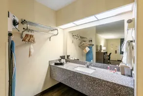 Econo Lodge Vicksburg - Salle de bain