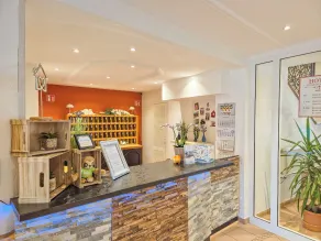 Hotel Lengenfelder Hof - Reception