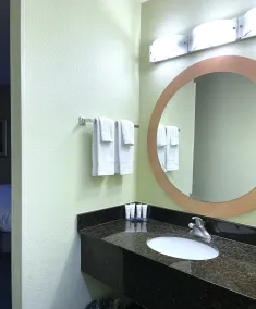 Park Inn by Radisson Albany - Salle de bain