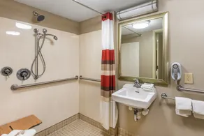 Red Roof Inn Kalamazoo West - Western Michigan U - Bathroom