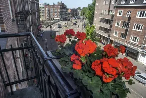 Hotel Larende - View from room