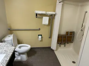 Sleep Inn Wilson near I-95 - Salle de bain