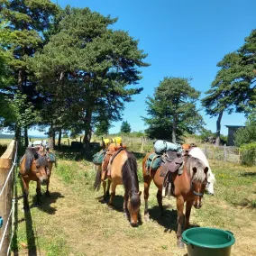 Auberge des 4 Saisons - Réception