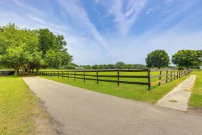 Idyllic Anthony Home: Riding Arena w/ Mirror Wall! - Interiør