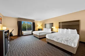 Best Western Topaz Lake Inn - Rum