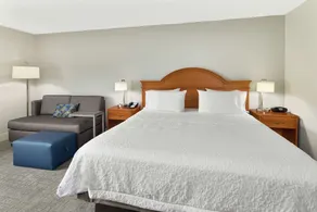 Hampton Inn Atlanta - Newnan - Chambre