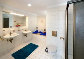 Haus Haas - Bathroom