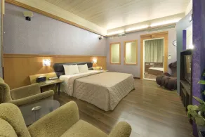 Holland Village Motel - Room