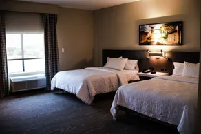 Hilton Garden Inn Waco - Chambre