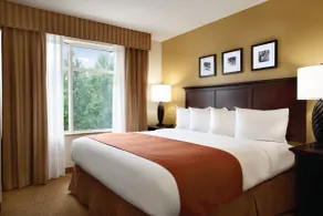 Country Inn & Suites by Radisson, Lawrenceville near Northside Hospital Gwinnett - Chambre