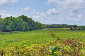 Sprawling Bluegrass Country Retreat Near Danville! - Interiør