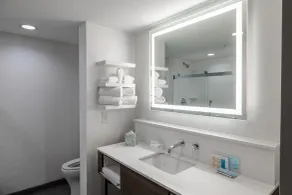 Hampton Inn Knoxville-West At Cedar Bluff - Salle de bain