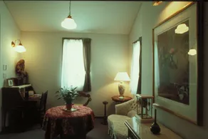 Camellia Inn Yukitsubaki - Hall