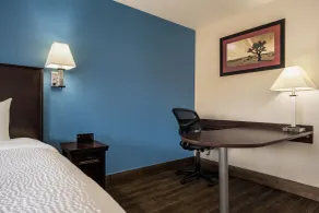 Baymont by Wyndham Kingman - Chambre