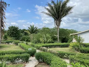 Dream Valley Belize - View from room