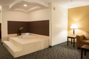 Holiday Inn Express Hotel & Suites Canton by IHG - Chambre