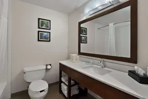 Comfort Inn & Suites Santee I-95 - Badeværelse