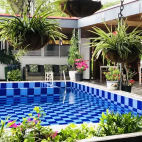 Holland Lodge Paramaribo - Pool