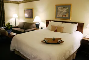 Hampton Inn Williamston - Room