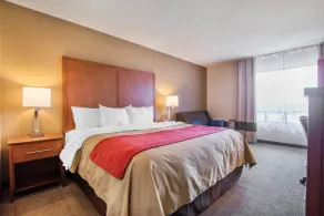 Comfort Inn - Vue de la chambre