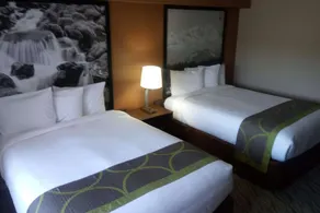 Super 8 by Wyndham Lynnwood - Chambre