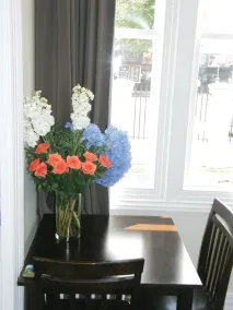 Ponsonby Manor - Vistas desde la habitación