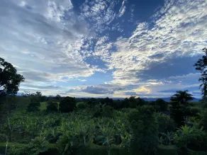 Hotel Campestre Paraiso Cafetero - View from room
