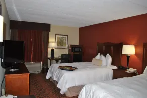 Hampton Inn College Park - Chambre