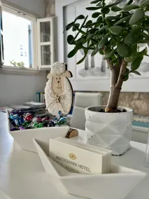 Matogianni Hotel - Réception
