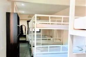 Golden Bee PhiPhi - Room