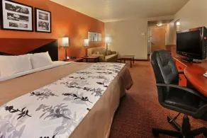 Sleep Inn & Suites Ocala - Chambre