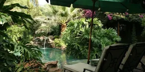 Glen Afric Country Lodge - Pool