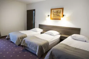 Hotel Jantar Wellness & Spa - Room