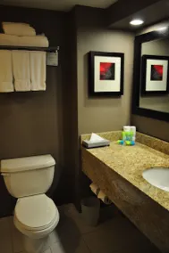 Radisson Hotel Vancouver Airport - Salle de bain