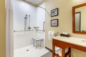 Comfort Inn & Suites West Des Moines - Salle de bain