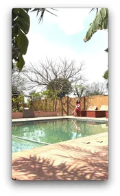 Alampat Nest - Pool