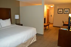 Wyndham Garden Hotel Cross Lanes Charleston - Chambre