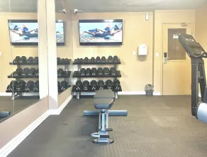 Comfort Inn & Suites Ambassador Bridge - Fitnessfaciliteter