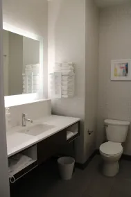 Hampton Inn & Suites Pekin Peoria Area - Salle de bain