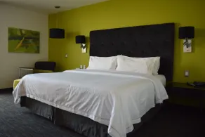 Holiday Inn Express Toluca Galerias Metepec by IHG - Chambre