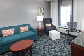 Hilton Garden Inn Lake Forest Mettawa - Chambre