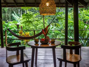 La Loma Jungle Lodge and Chocolate Farm - View from room