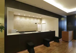 Akihabara Washington Hotel - Réception