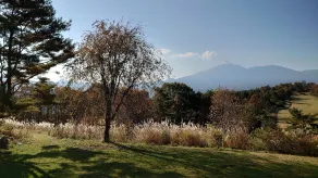 Tsumagoi Prince Hotel - Vue de la chambre