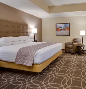 Drury Plaza Hotel Pittsburgh Downtown - Chambre