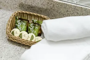 Vitoria Regia Hotel Bauru - Bathroom