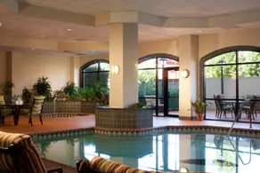 Embassy Suites by Hilton Dallas Near the Galleria - Piscina
