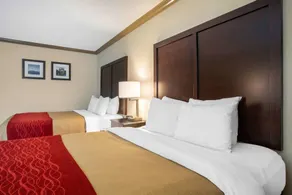 Comfort Inn Castro Valley - Chambre